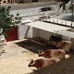 Bonito Y Amplio Piso Junto A La Plaza De Toros.
