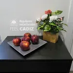 Apartamento Damia, Feel Cadiz