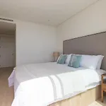 Lovely Apt In Palo Alto104 Euc