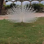 Apartamento Costa Marina 3