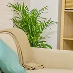 Loft Garrucha Center