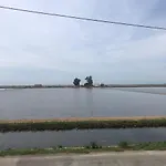 Mirariu