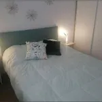 Sts Pet Friendly Playa