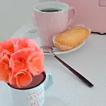 Apartamento Alma