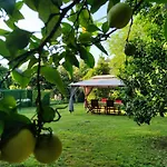 Las Casonas De Avellaneda