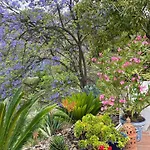B&B Rural El Oasis