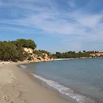 Netania