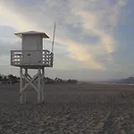 Birds Paradise Vera Coast