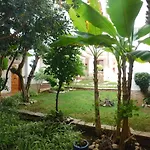 Patio 1