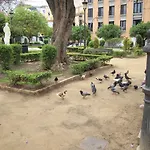 Del Parque Flats Monkey 1