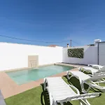 Bisonte C