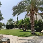 Palma Home 392