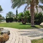 Palma Home 392