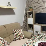 Palmera