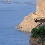 Los Acantilados