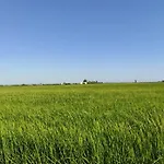 Pequena Casa Rural En El Centro Del Delta Del Ebro