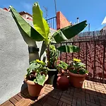 Little Horse Apartments 3