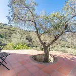 Finca Rosalia