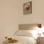 Singularstays Seu V