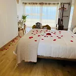 Hostal Playa Dreams Nautico Adults