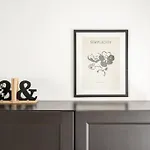 Escalera 12