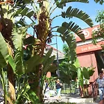 Apartamento En Los Boliches