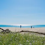 Apartamento A 50 M De La Playa