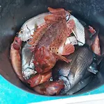 El Cambaral Del Puerto