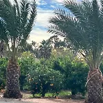 Квартира Для Жизни И Отдыха