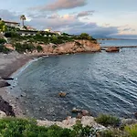 Oliveres3