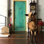 Miramonti House 賣房間更賣生活