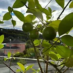 Sunset Limon