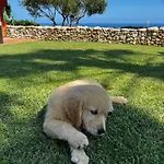Tu Pequeno Paraiso