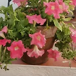 Ana'S Guest House Nerja