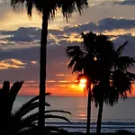 Mirando Al Mar