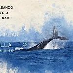Aroma De Mar Casas En Alquiler Vacacional Con Hermosa Piscina