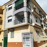 Caballito De Mar