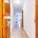 A&N Frigiliana 2
