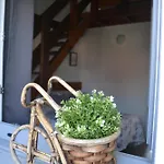 El Molino 1