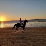 Apartamento Marisma Del Guadalquivir