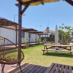 Single Fin Conil