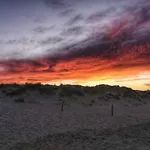 Lacasitadelsurf