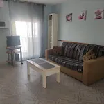 Apartamento En Playa De Gandia