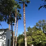 Giralda 2