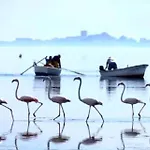 Sanpedro
