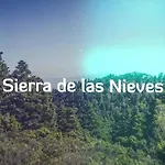 Huerta Alejo