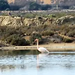 Flamingos View Apartment In Cabo De Gata