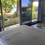 Jacaranda