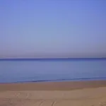 Macavi