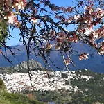 La Fructuosa